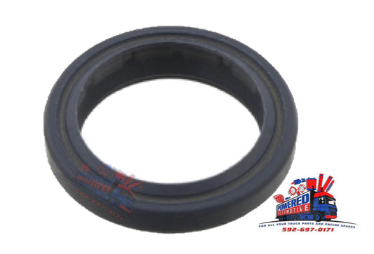 29874 Shaft Seal for steering box