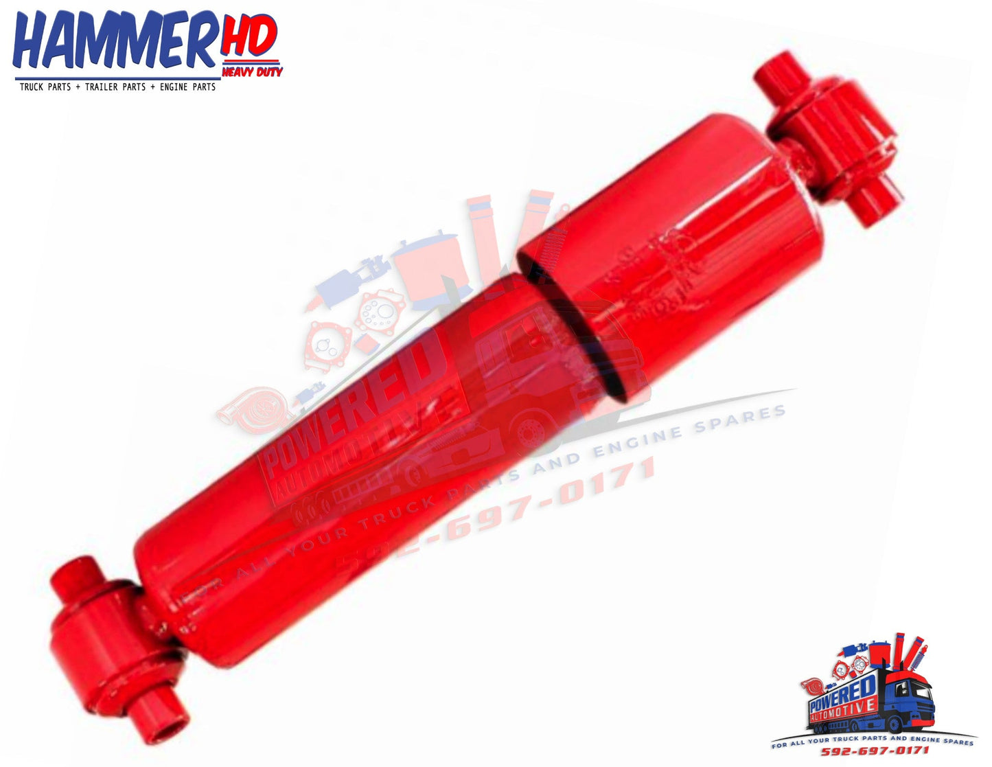 SHOCKS CABIN INTERNATIONAL BF78161